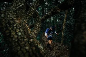 BIB: 
                            <button type="button" onclick="openModal(25695524)" class="btn btn-primary btn-sm float-right btn-popup" data-toggle="modal" data-target=".modal-high-quality">
                        <i class="fas fa-shopping-cart"></i> Add to Cart
                    </button>
                                            <button type="button" onclick="isThisMe(25695524, true)" class="btn btn-success btn-sm float-right btn-popup btn-isme hidden" data-toggle="tooltip" data-placement="bottom" title="นี่คือรูปของคุณใช่ไหม คลิกที่นี่เพื่อเอาเข้าอัลบั้ม">
                        <i class="fas fa-plus"></i> Add to album
                    </button>
                    <button type="button" onclick="isThisMe(25695524, false)" class="btn btn-warning btn-sm float-right btn-popup btn-isnotme hidden">
                        <i class="fas fa-ban"></i> Remove from album
                    </button>